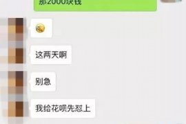 龙华为什么选择专业追讨公司来处理您的债务纠纷？